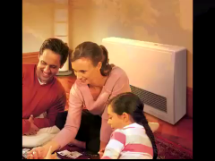 RINNAI ENERGYSAVER DIRECT VENT WALL FURNACES